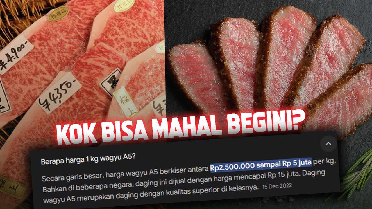 SEJARAH WAGYU, DAGING JEPANG ANTI ORANG MISKIN | Aku Tolol