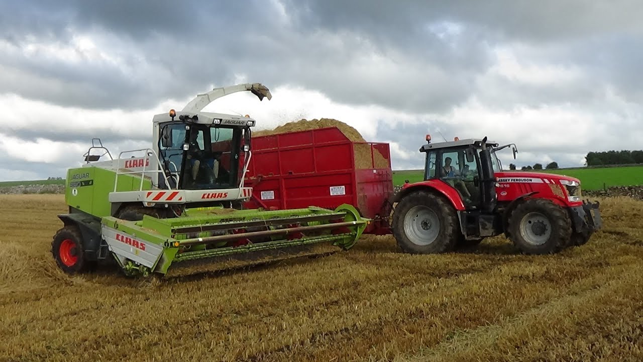 Cumbrian Silage - Wholecrop Silage with Claas Jaguar 890 & Masseys - Silage 2019