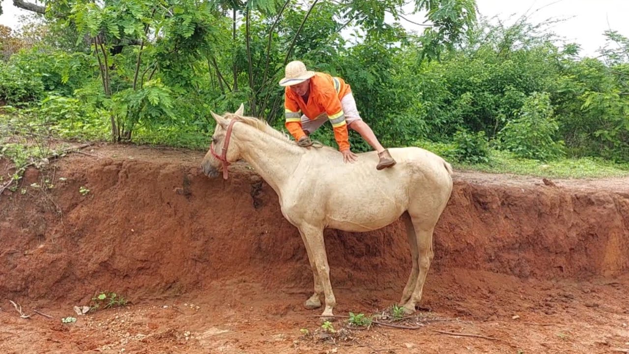 Bastidores  !! Seu Mané vai trocar a  moto em uma besta  !!