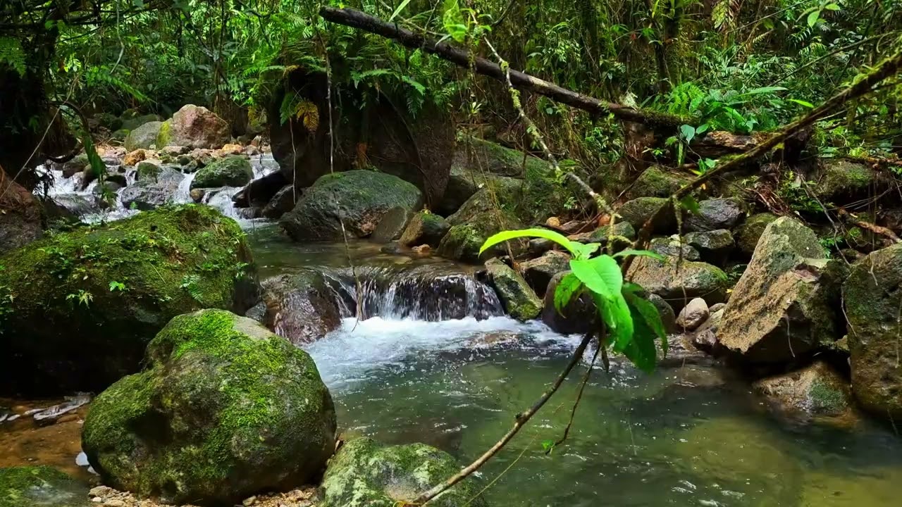 Tranquil River Meditation Focus | 1 Hour Nature Sounds for Deep Inner Stillness 4K