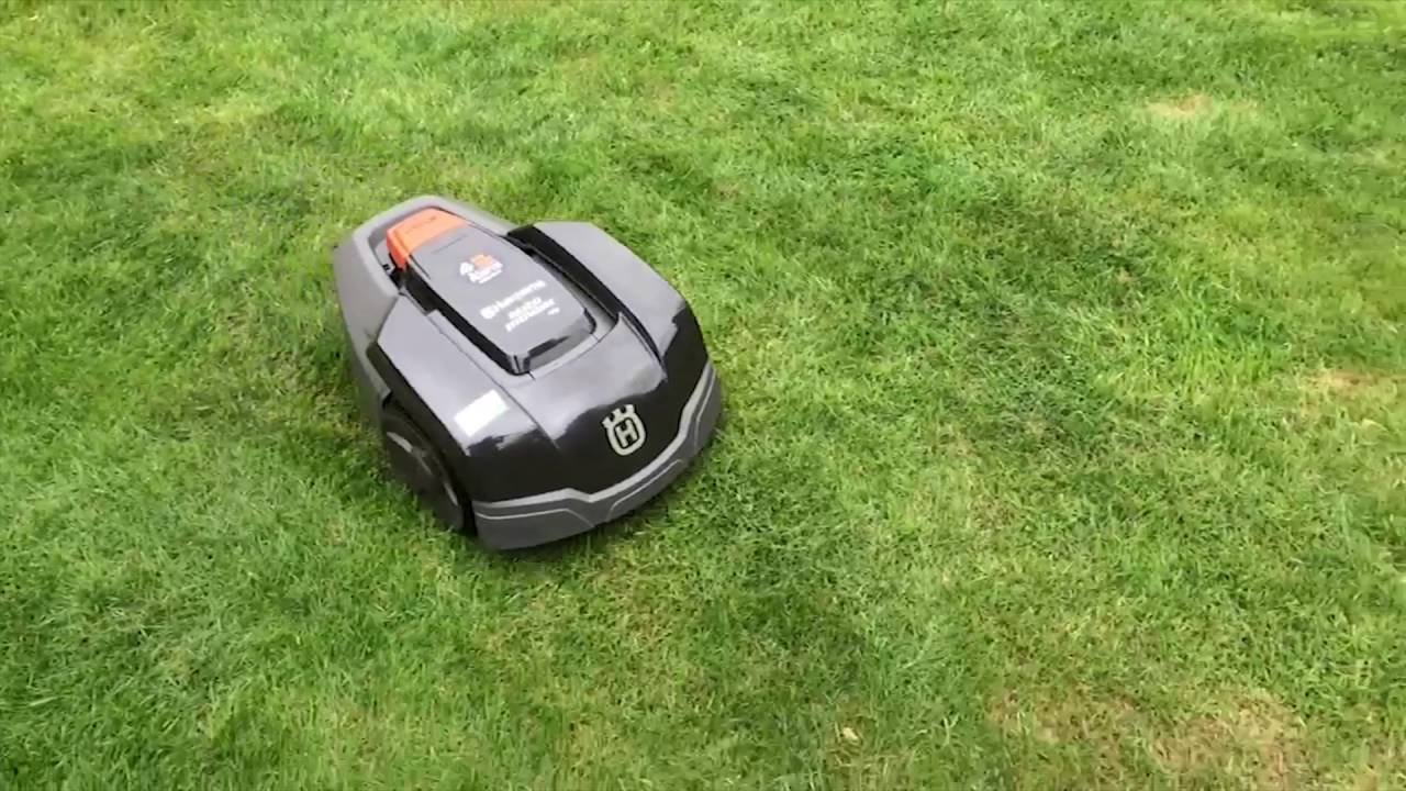Husky the Husqvarna 105 Automower
