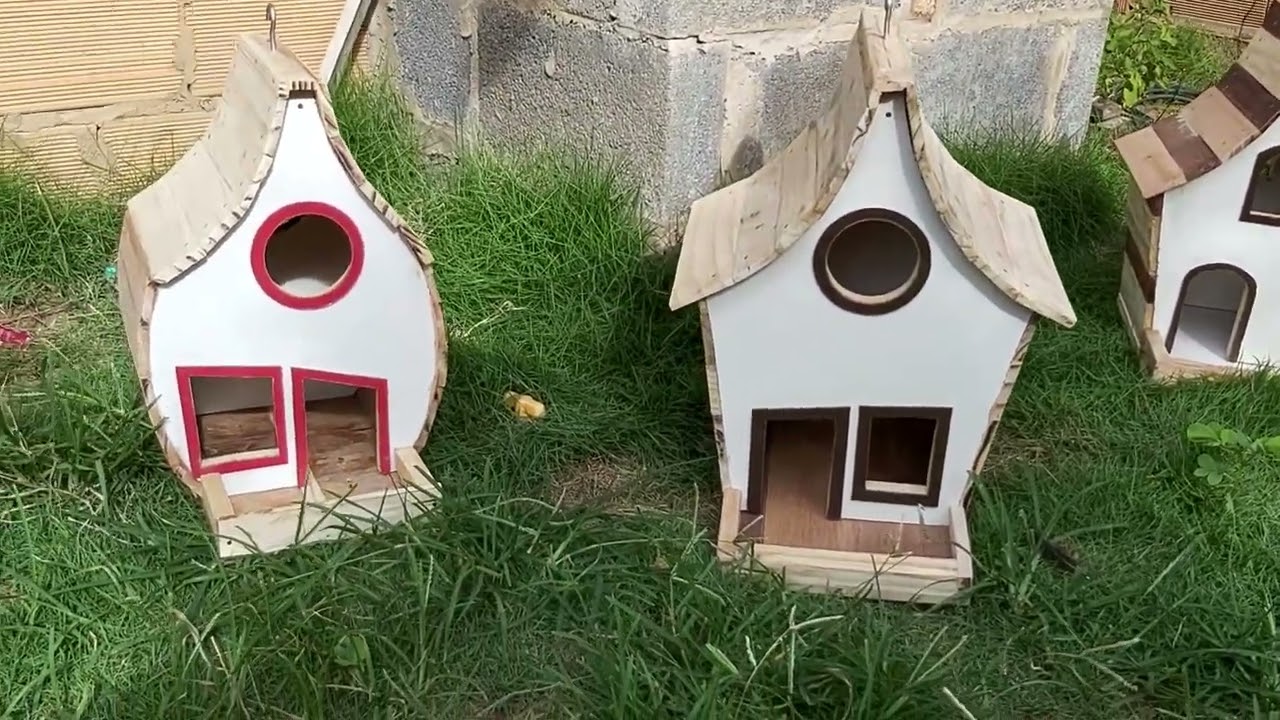Visite  a   cidade   dos    pássaros  Elis  vão    adorar , compartilha  ai