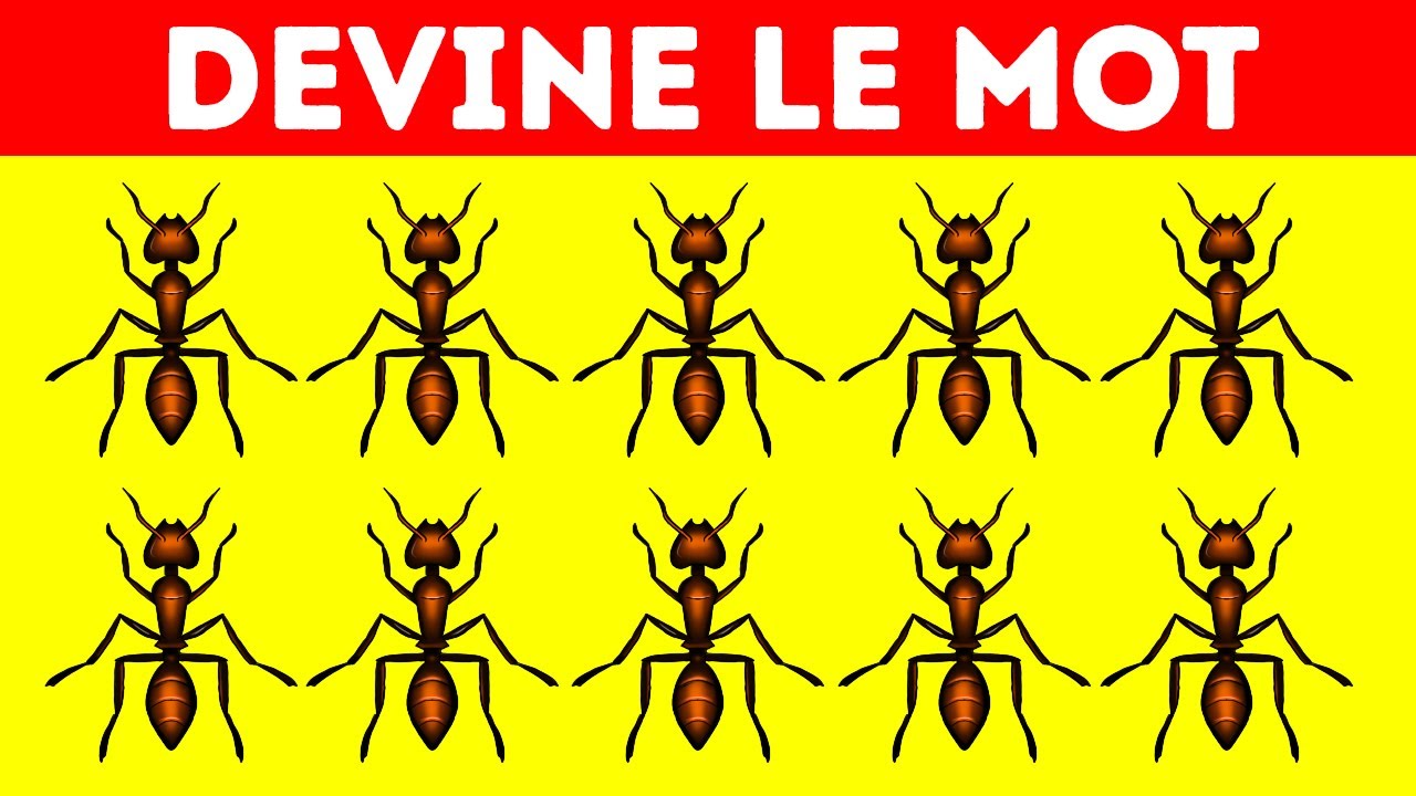 Des Énigmes Visuelles qui Fonctionnent Mieux qu’une Sieste