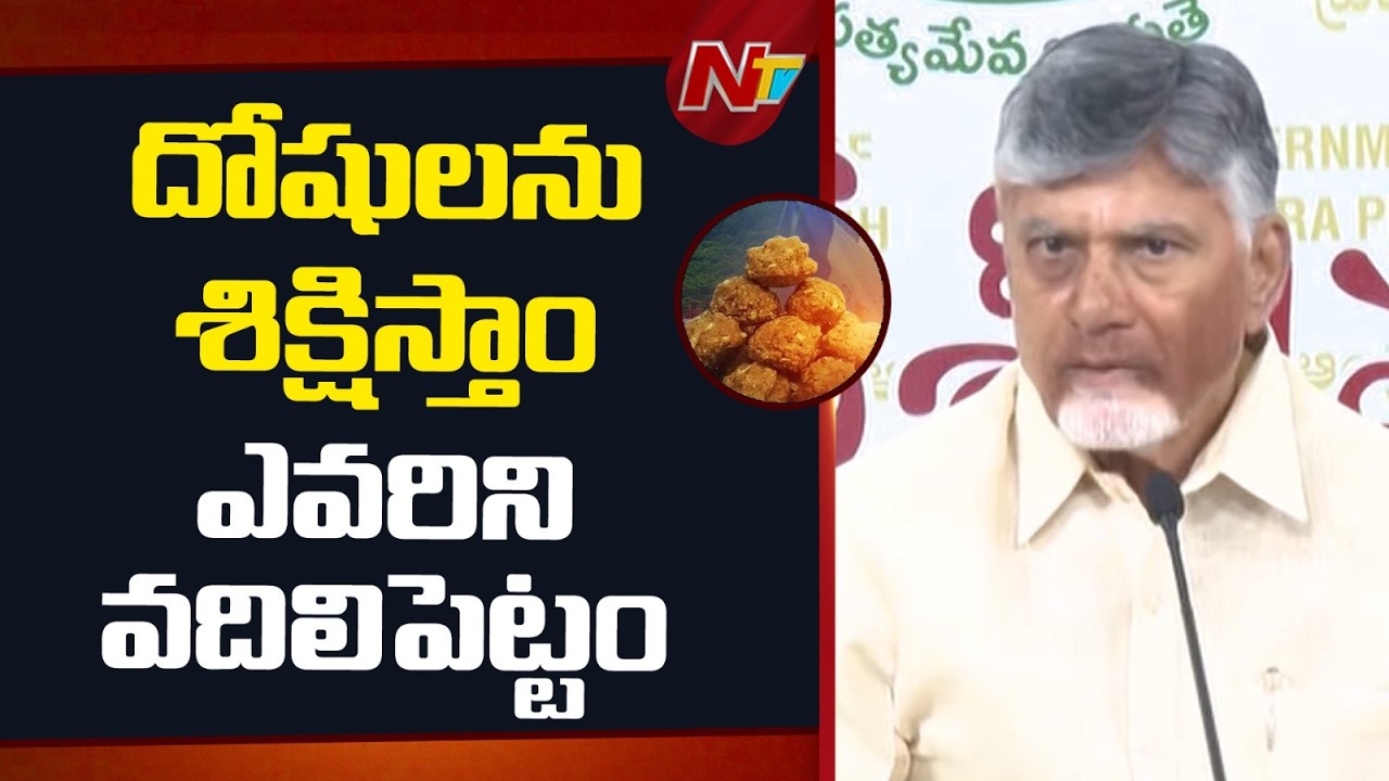 సీబీఐ రిపోర్టులో కల్తీ  జరగలేదని ఎక్కడ లేదు | CM Chandrababu on TTD Laddu Issue | NTV Telugu