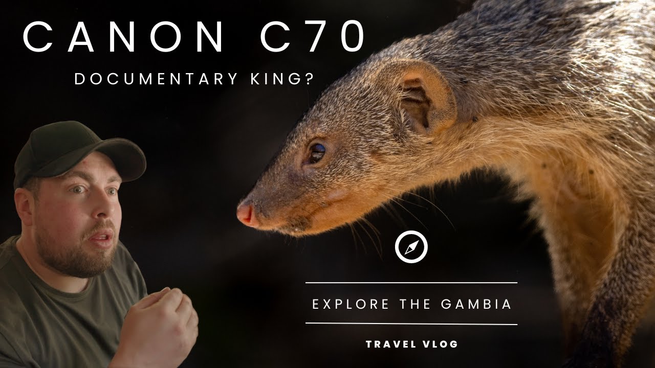 Wildlife filmmaking in The Gambia 🇬🇲 - Canon C70 Test