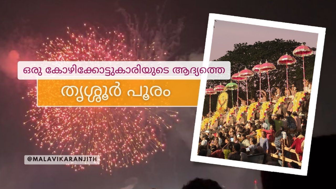 Thrissur Pooram Vlog | Pooram 2024 | 