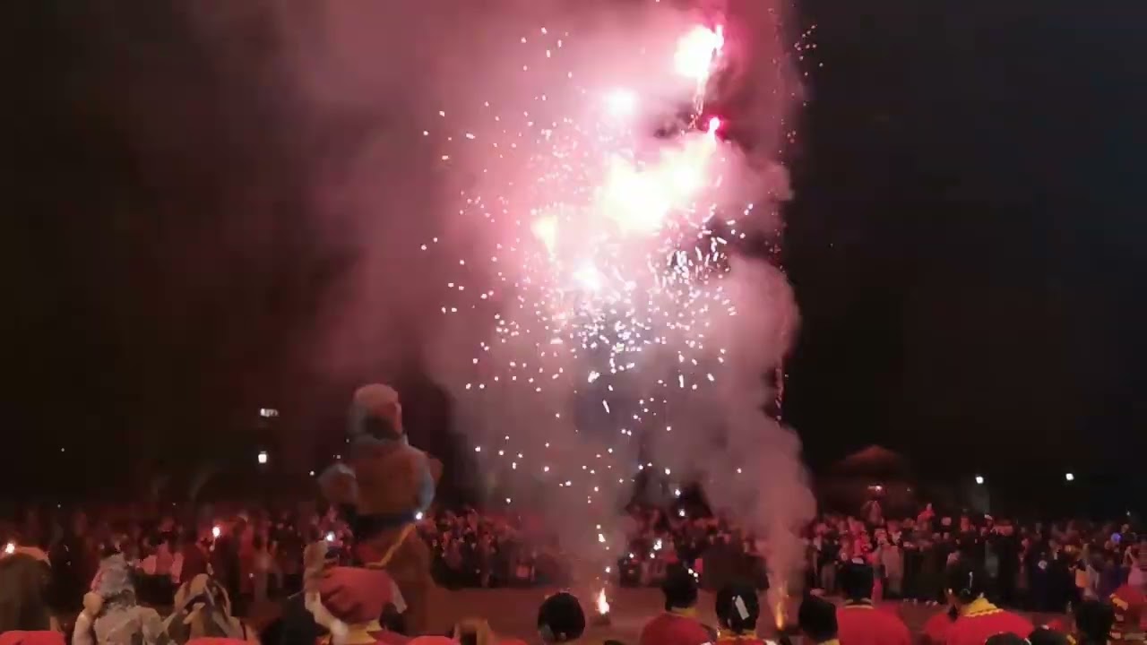 Fasnets Verbrennen | Fasnet 2023 | Radolfzell am Bodensee