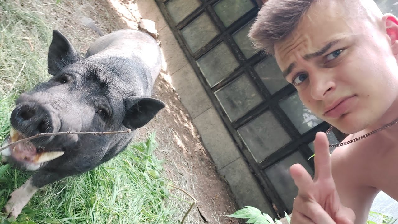 KODZSEK ÉLETE A KARANTÉNBAN!