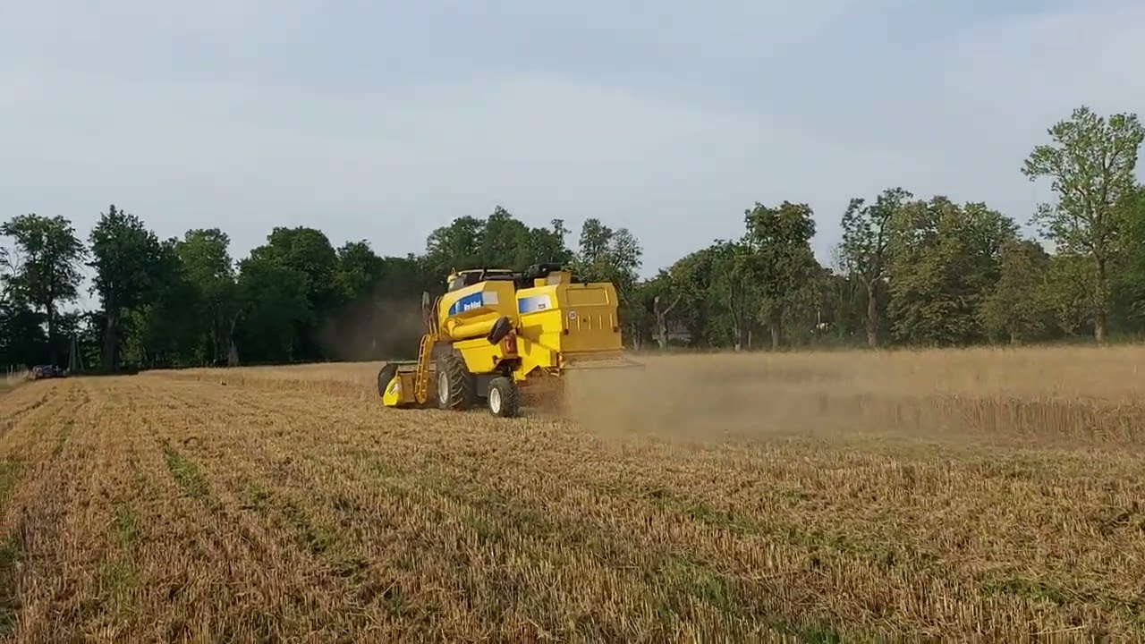 Żniwa 2025 Małopolska NEW HOLLAND TC56