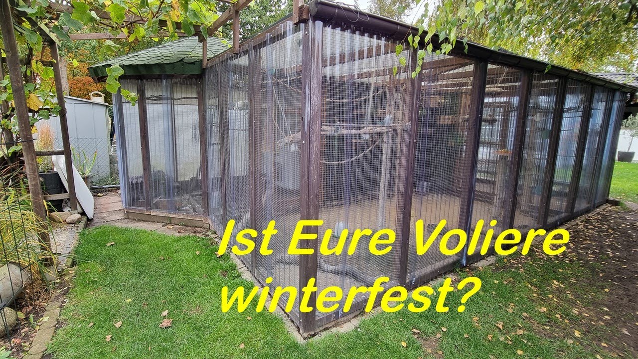 So schützt Ihr Eure Vögel...
