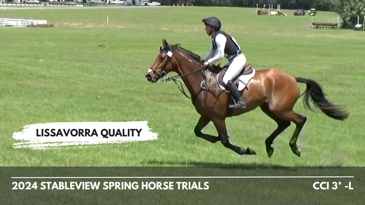 Lissavorra Quality (CCI 3* -L | 2024 Ocala International Horse Trials)