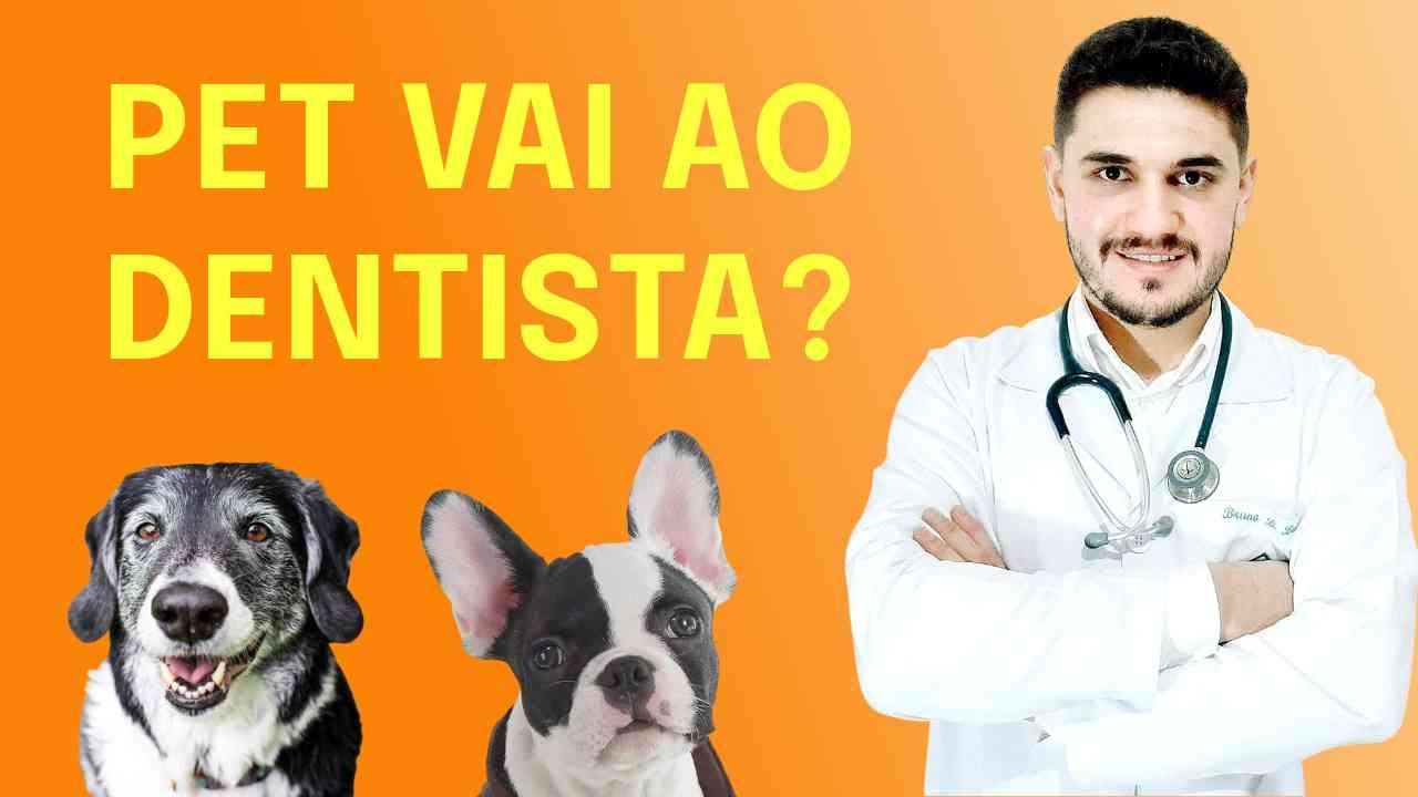 ODONTOLOGIA EM CÃES E GATOS