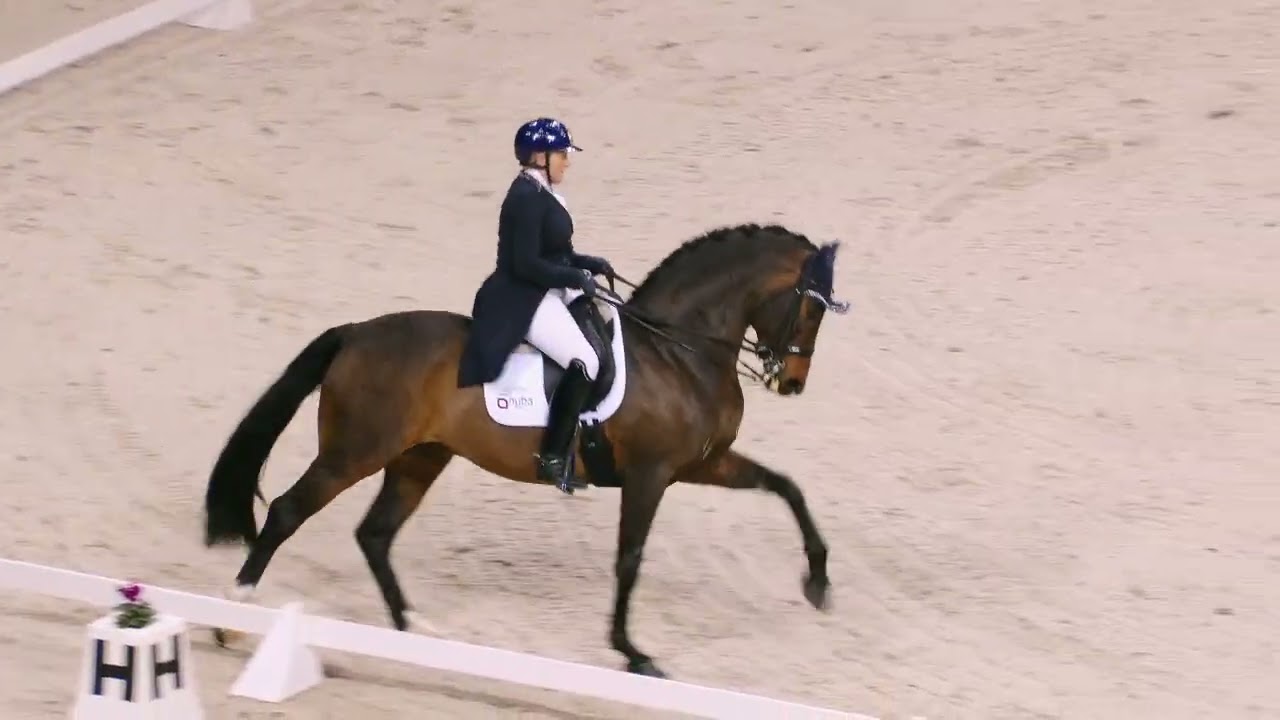 CAVALIADA Kraków 2023: Sandra Sysojeva, FOUND BOY, IMMERGAS DRESSAGE TOUR