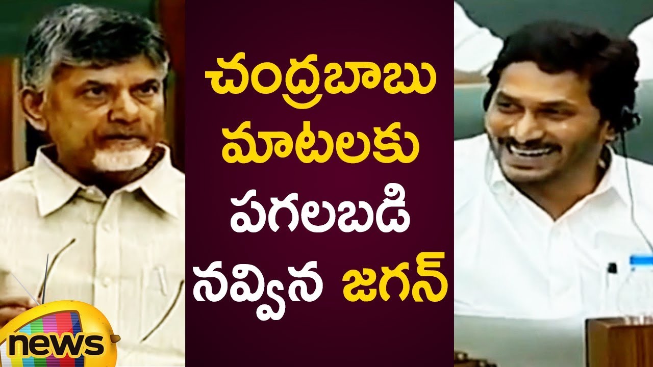 AP CM YS Jagan Huge Smile Over Chandrababu Naidu Words In Assembly Session | AP Special Status Issue
