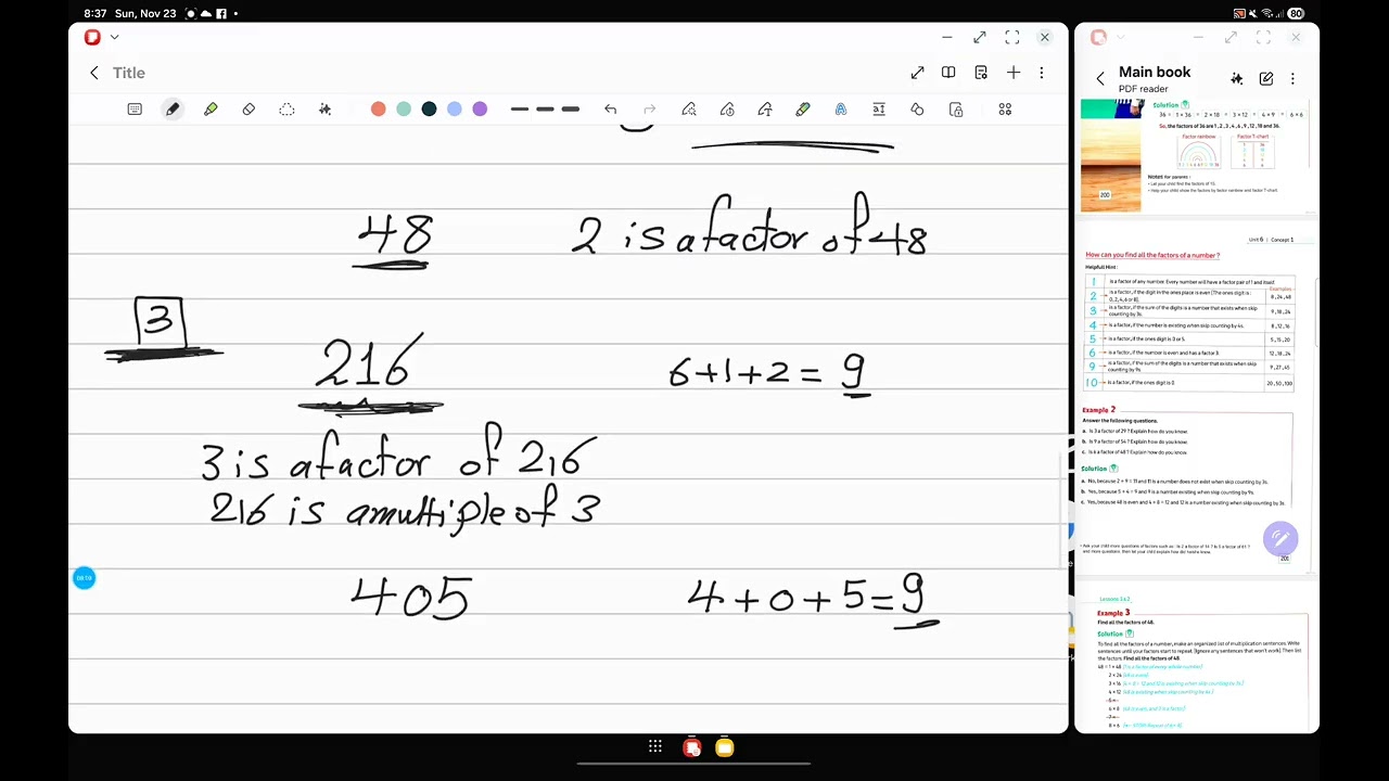 Factors  primary 4 1st term 
