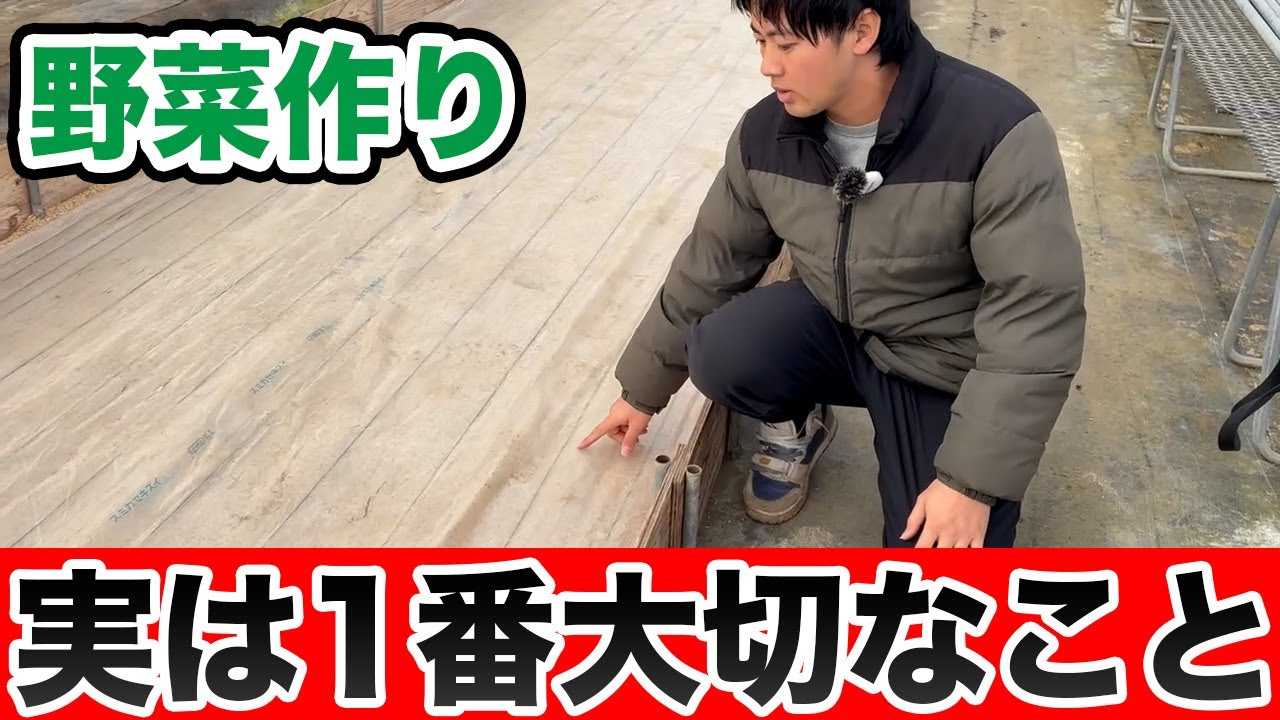 【野菜作り】見落としがちな「大事なこと」とは