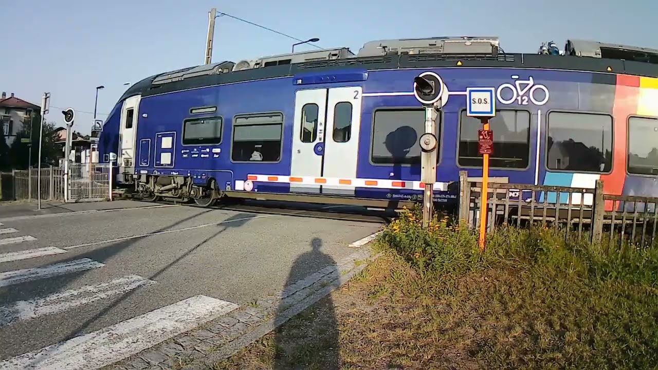 Passage à Niveau N°37 à Riedseltz