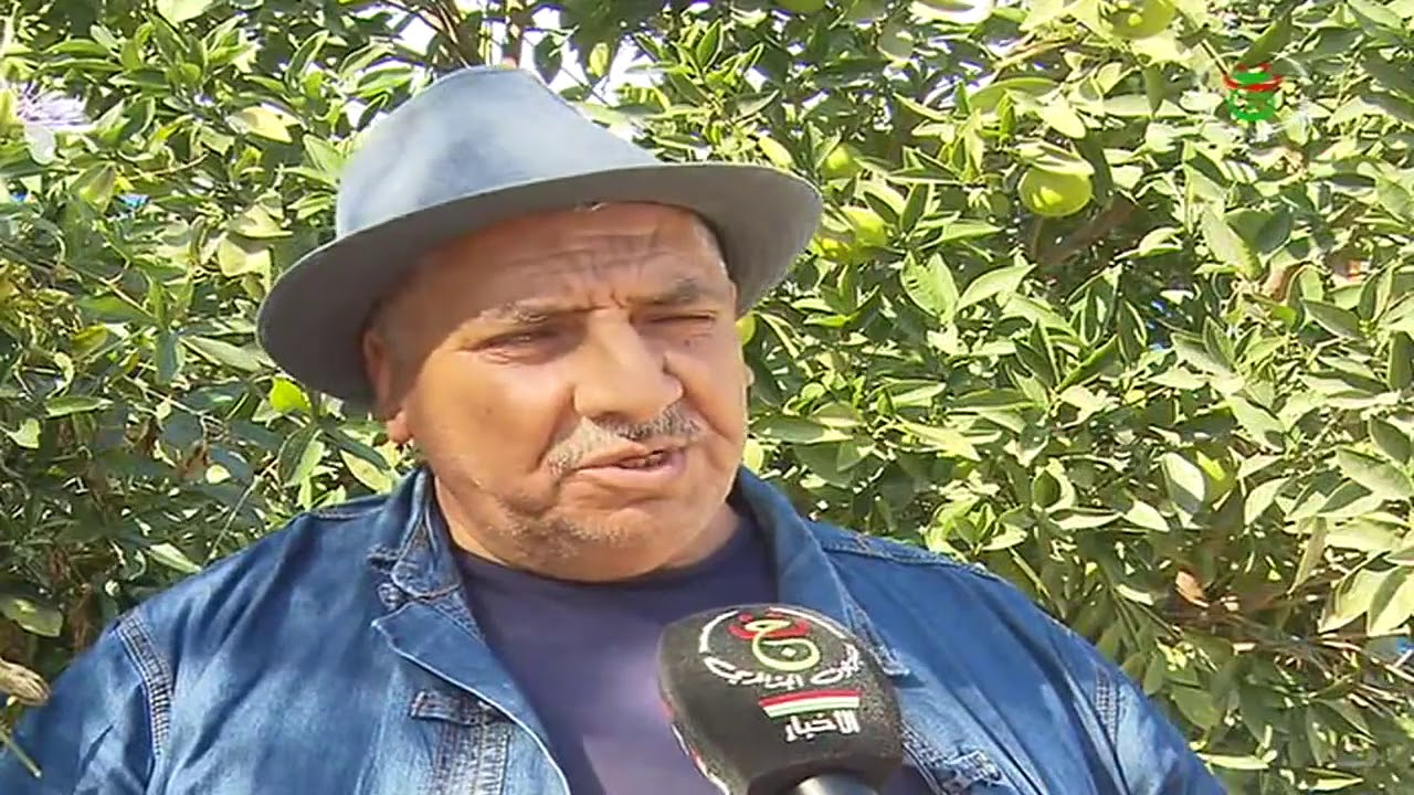 ولاية قالمة عاصمة إنتاج الفلفل الحار الصناعي