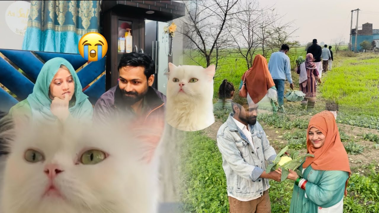 26January 🇮🇳Hum Gaye Khet Ghoomne | 🐈Hamari Puchu Nahi Rahi🥺😭