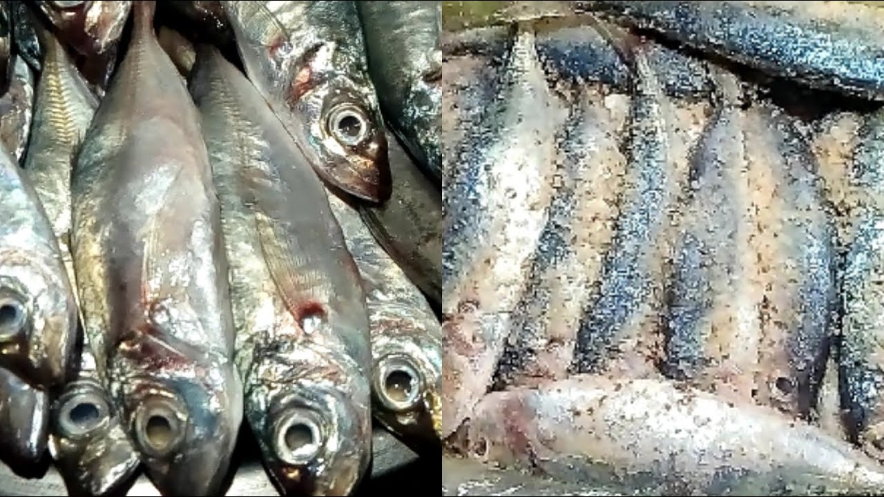 طريقة عمل الباغة المخللة مع نوجه .