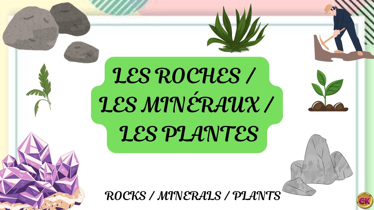 50 LES ROCHES | LES MIN&Eacute;RAUX | LES PLANTES - ROCKS | MINERALS |  PLANTS