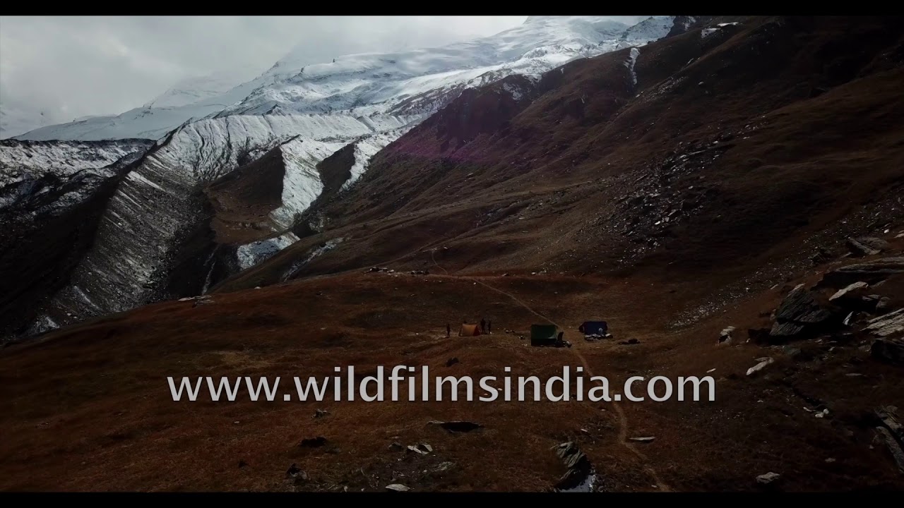 Birch forests or bhojpatra trees in the Rudragaira valley, on trek route to Auden's Col