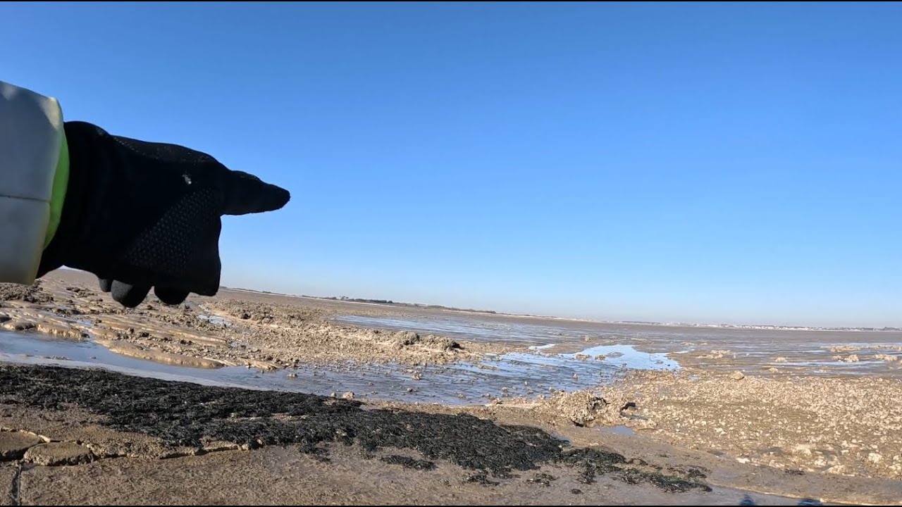 Balade à vélo sur Port des Barques et l'île Madame (17).