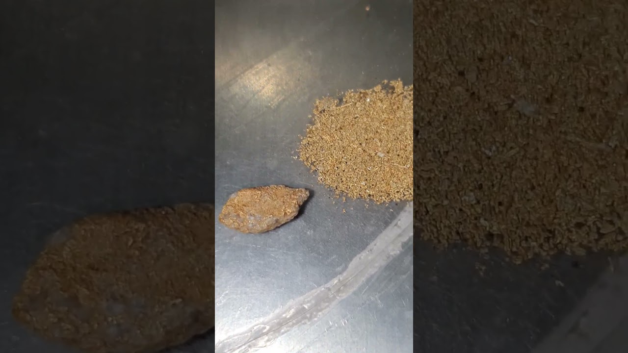 Gold Prospecting #goldprospecting #goldnugget #goldpanning #findinggold #oro #gold #goldrush #au
