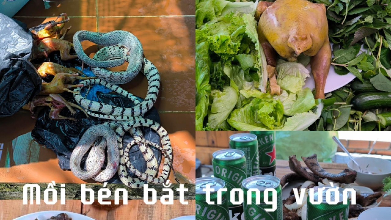 Mồi bén! Tiệc nhậu tại nhà cùng anh em | Rắn, sóc, gà đậm chất quê