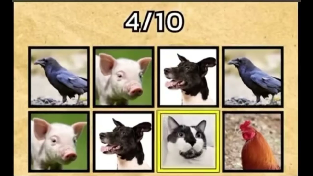 動物挑戰