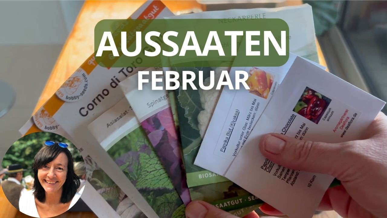 Meine Aussaaten im Februar 2026 - kalte und warme Anzucht