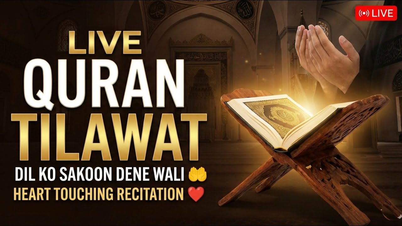 Dil Ko Sakoon Dene Wali Quran Tilawat 🔴 Live 🤲 | Heart Touching Recitation | Roshni ka safar