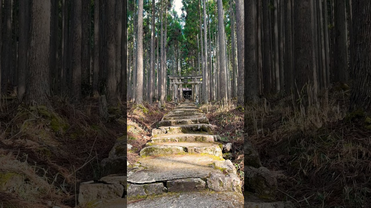 #japan