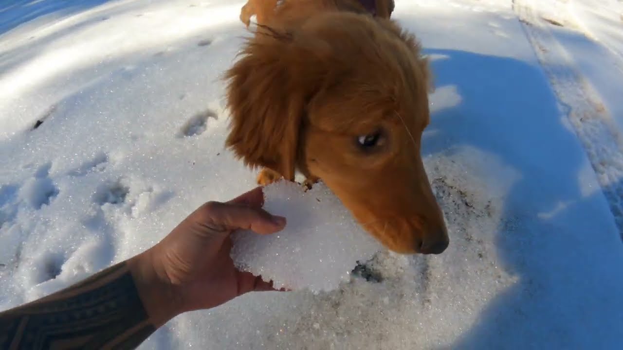 Cold but worth it