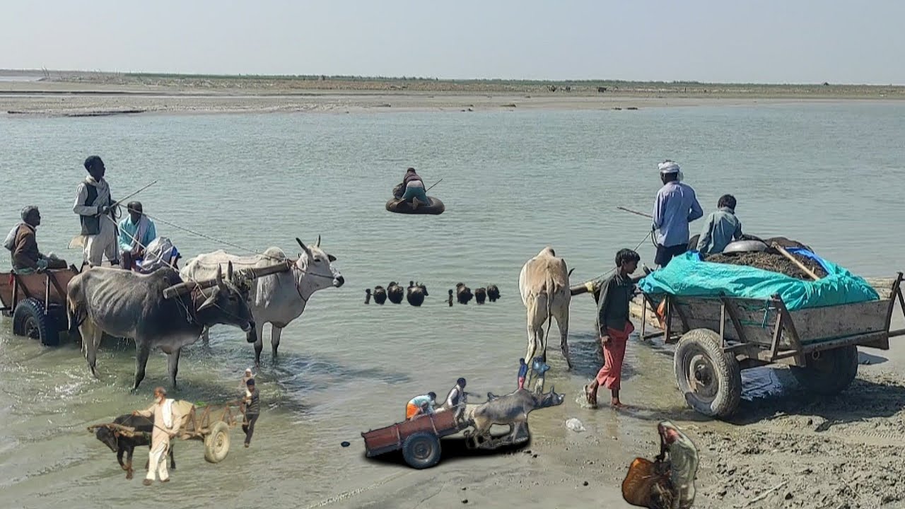 How Do Poor Laborers Live Their Lives In UP India [] How Do Poor People Live In Water
