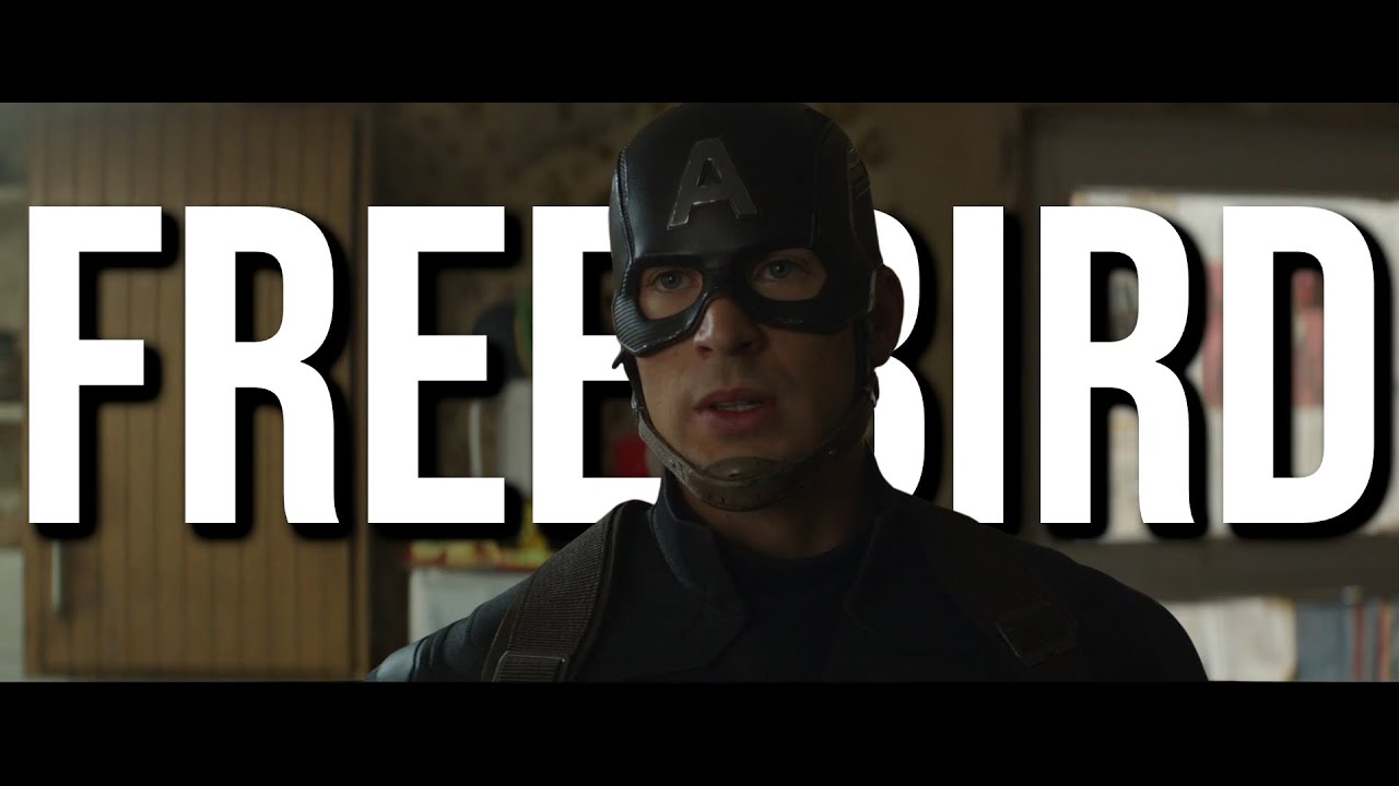 Marvel & DC | Free Bird