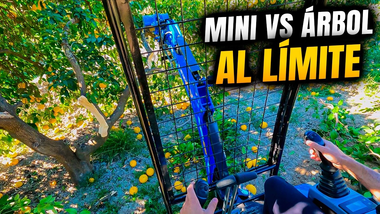 Desmontando Árbol de 60 años con Mini Rippa R15 ¿PODRÁ CON EL?