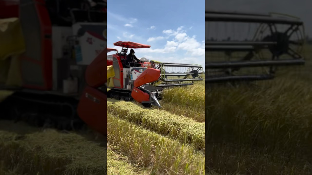 M&aacute;y Cắt L&uacute;a Kubota DC 93G 🌾