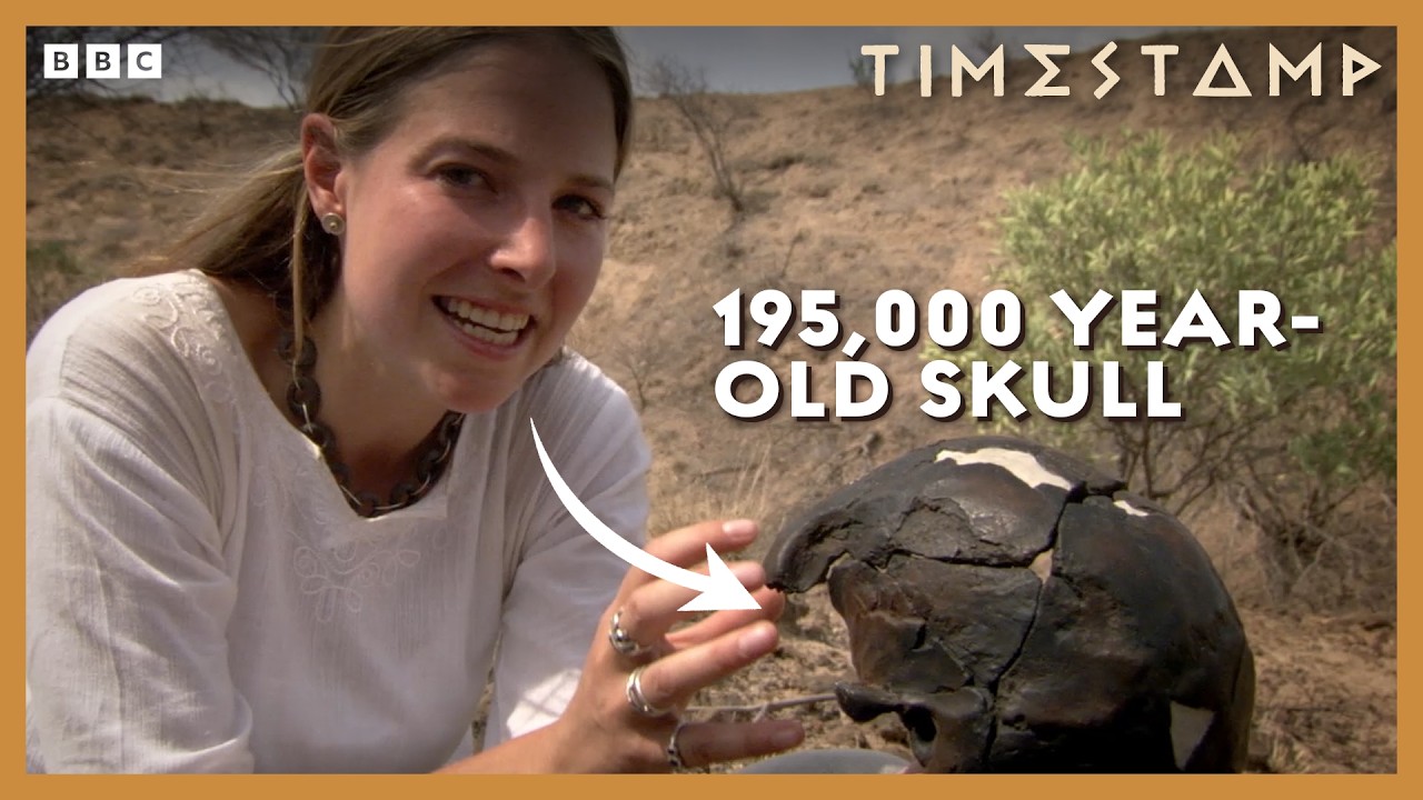 Where Did Our Ancestors Really Come From? | BBC Timestamp