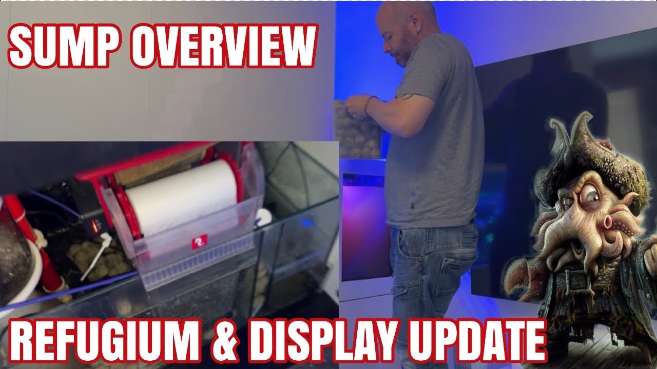 180 Gallon Reef Aquarium - Sump & Display Update