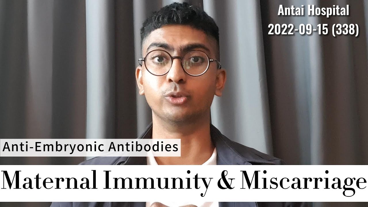 Maternal Immune System & Miscarriages: Anti-Embryonic Antibodies - Antai Hospitals