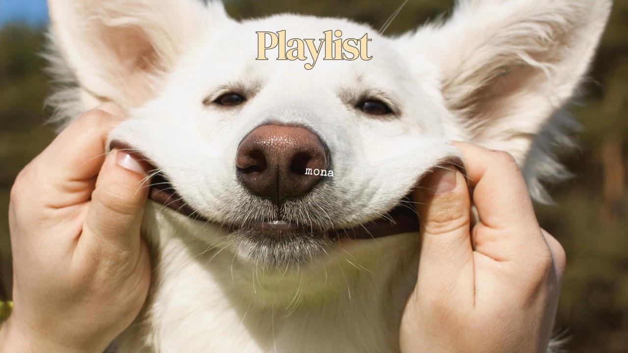 🎧 playlist | 오늘 하루가 왠지 잘 풀릴 것만 같은 기분🤍 | modern pop · acoustic pop | 카페음악 · 작업 · 감성 노동요 · 몰입 · 동기부여
