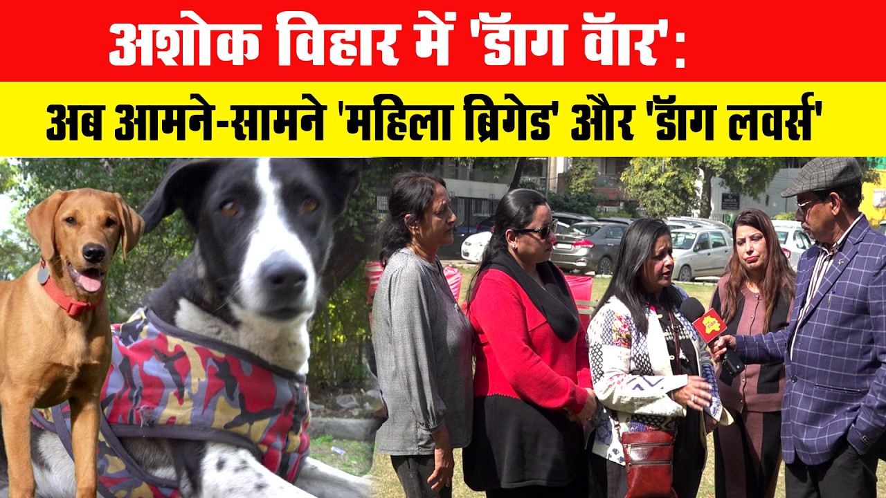 अशोक विहार में 'डॉग वॉर': अब आमने-सामने 'महिला ब्रिगेड' और 'डॉग लवर्स'