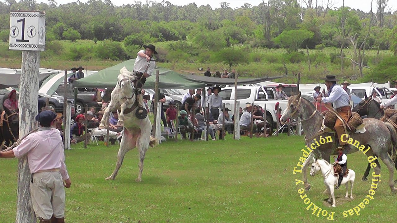 Jineteada en Bompland Corrientes rueda con bastos #caballos #jinete #charreada #jaripeo #rodeo