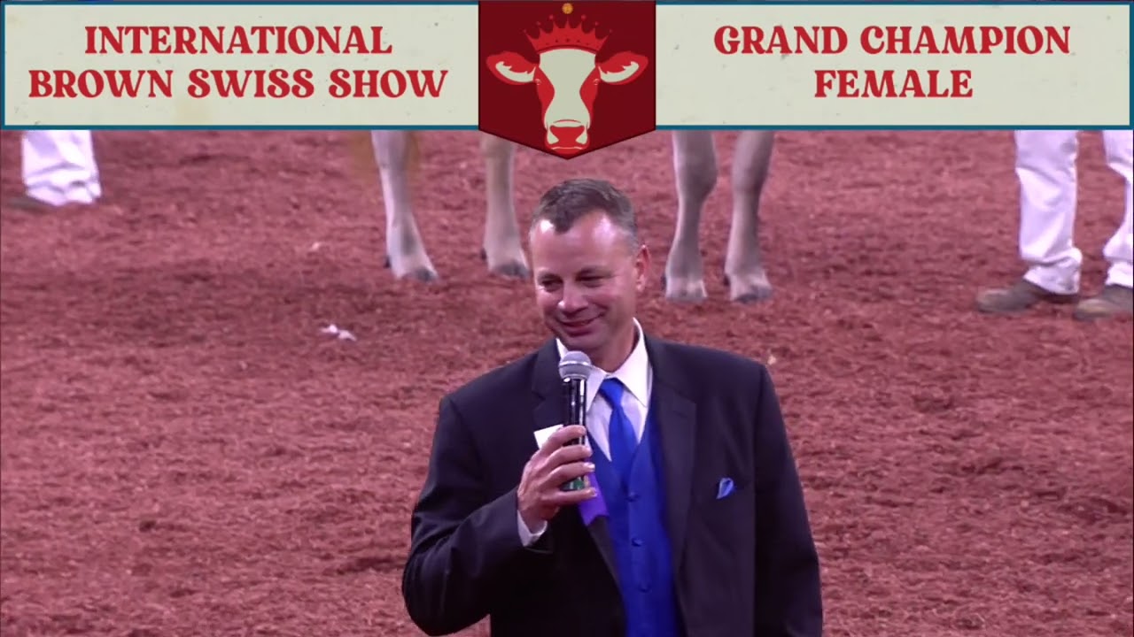 368 GRAND CHAMPION - BROWN SWISS