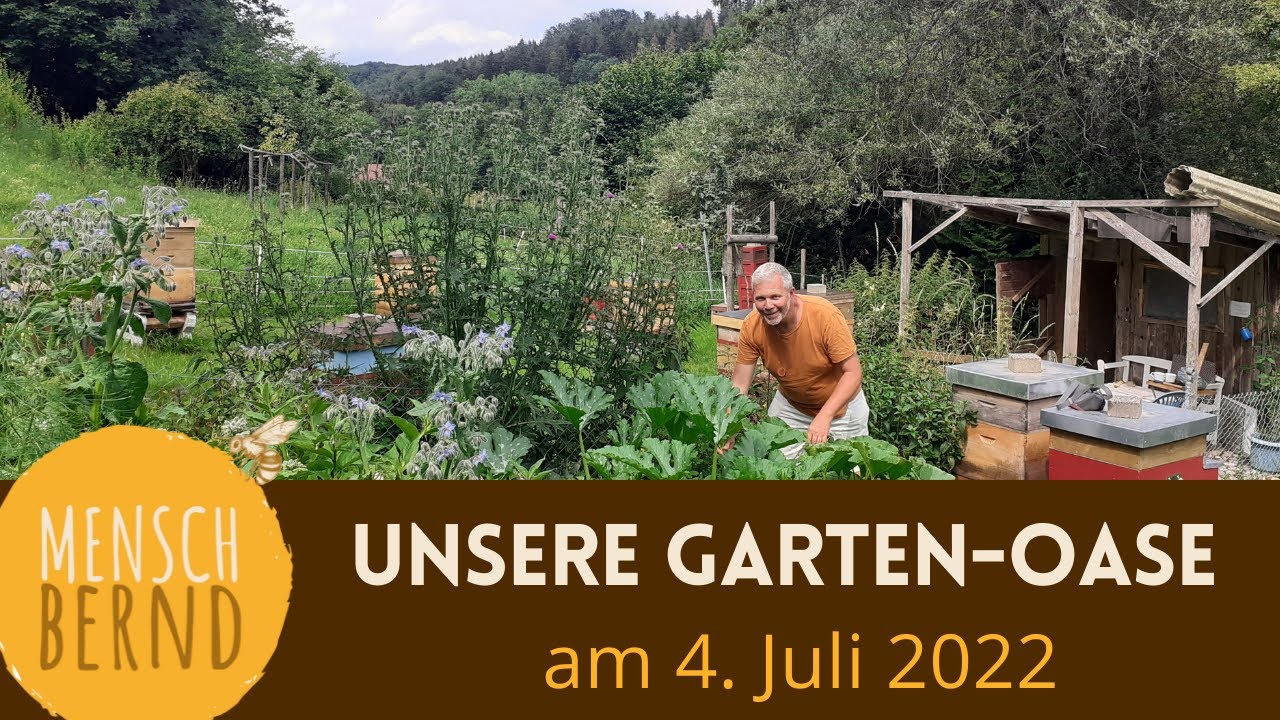 Unsere Garten-Oase im Juli 2022