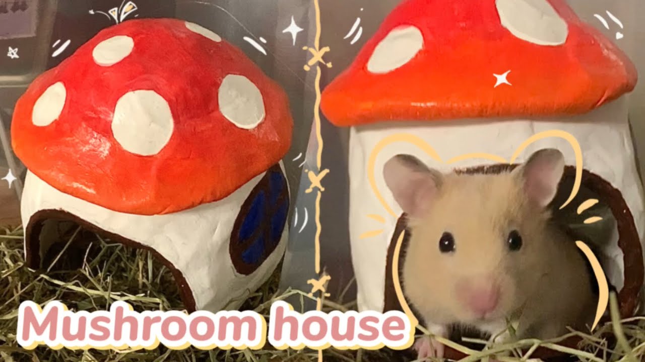 MAKING MUSHROOM HOUSE WITH CLAY