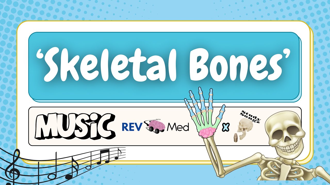 &lsquo;Skeletal Bones&rsquo; by Study Songz ft illustrations by REV MED | Anatomy Music