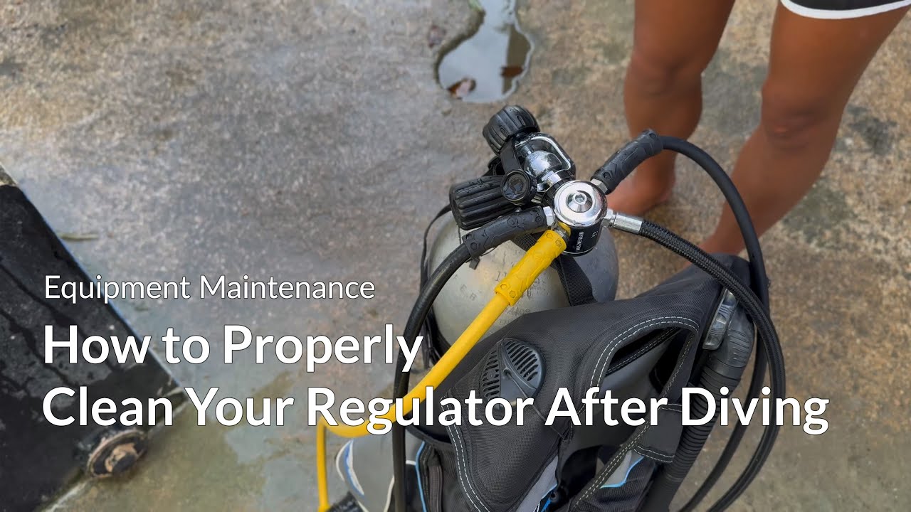 How to Properly Clean Your Regulator After Diving