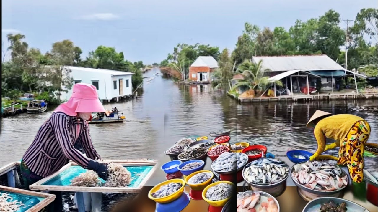 Khám Phá Miệt Thứ Vẻ Đẹp Vùng Quê Bình Dị U Minh Thuong